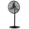 Fan, large HD